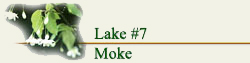 Laem Chabang International Country Club Lake # B7 1 flower7b7
