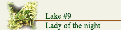 Laem Chabang International Country Club Lake # B9 1 flower9b9